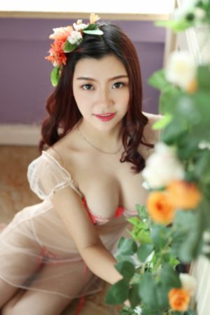 26uuu欧美视频_BD国语动漫免费观看